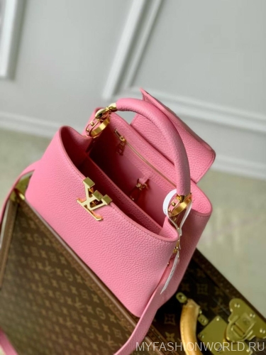 Сумка Louis Vuitton Capucines Small Jewelily