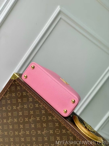 Сумка Louis Vuitton Capucines Small Jewelily