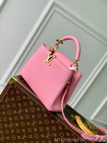 Сумка Louis Vuitton Capucines Small Jewelily