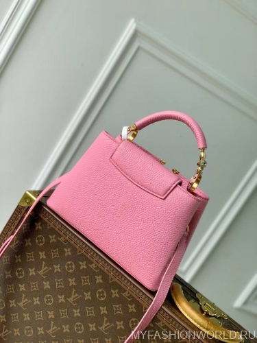 Сумка Louis Vuitton Capucines Small Jewelily