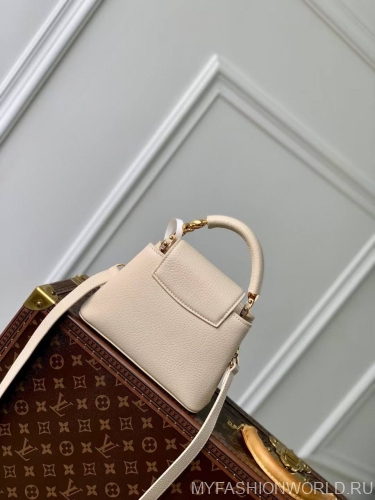 Сумка Louis Vuitton Capucines Jewelily mini