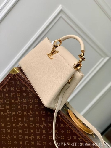 Сумка Louis Vuitton Capucines Jewelily medium