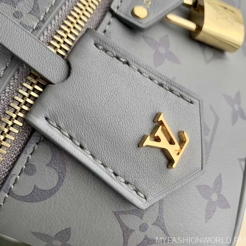 Сумка Louis Vuitton Vanity Chain Pouch