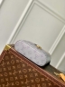 Сумка Louis Vuitton Vanity Chain Pouch