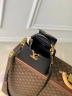 Сумка Louis Vuitton Capucines Jewelily mini