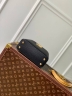 Сумка Louis Vuitton Capucines Jewelily mini