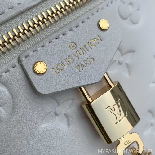 Сумка Louis Vuitton Vanity