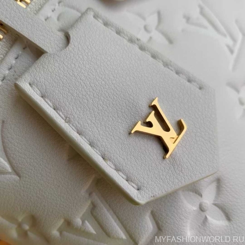 Сумка Louis Vuitton Vanity