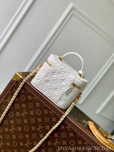Сумка Louis Vuitton Vanity