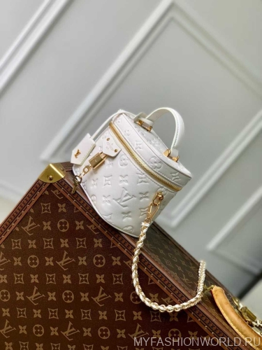 Сумка Louis Vuitton Vanity