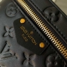 Сумка Louis Vuitton Vanity