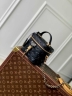 Сумка Louis Vuitton Vanity
