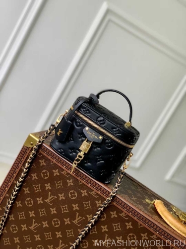 Сумка Louis Vuitton Vanity