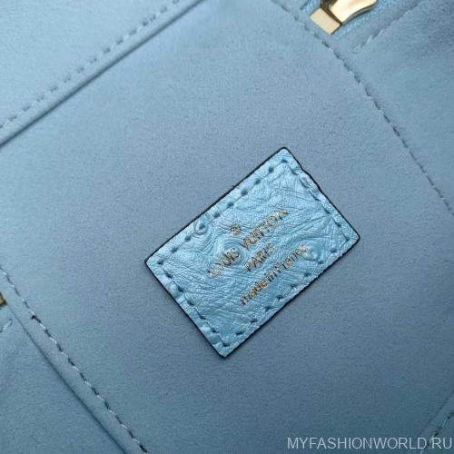 Сумка Louis Vuitton Ostrich Glaze Vanity Pouch