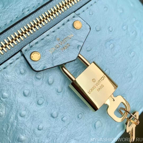 Сумка Louis Vuitton Ostrich Glaze Vanity Pouch