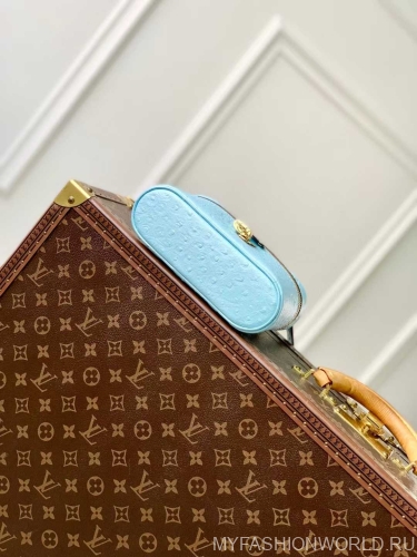 Сумка Louis Vuitton Ostrich Glaze Vanity Pouch