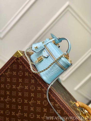 Сумка Louis Vuitton Ostrich Glaze Vanity Pouch