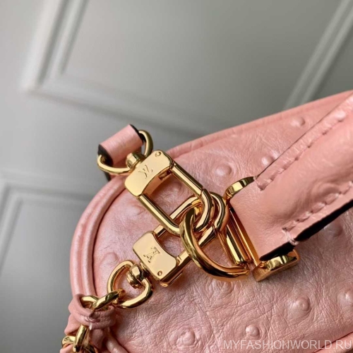 Сумка Louis Vuitton Ostrich Glaze Vanity Pouch