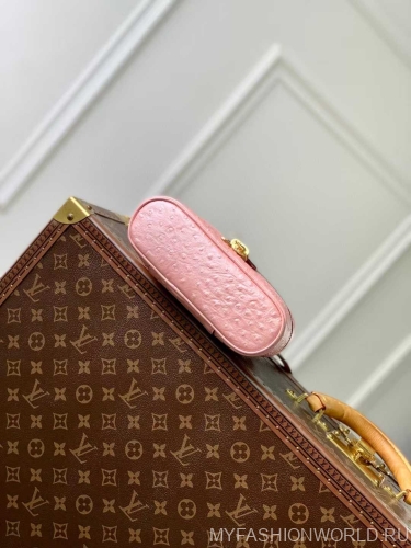 Сумка Louis Vuitton Ostrich Glaze Vanity Pouch