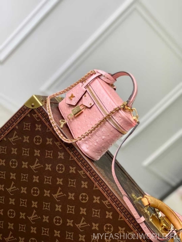 Сумка Louis Vuitton Ostrich Glaze Vanity Pouch