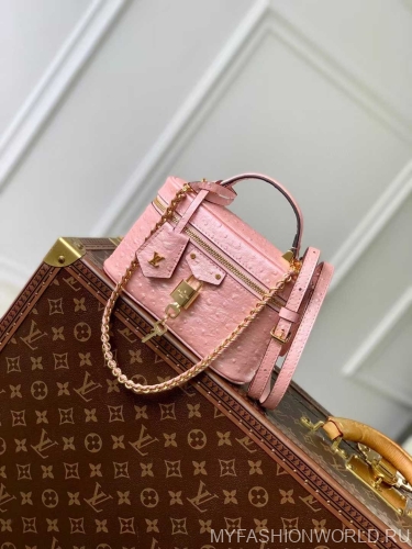 Сумка Louis Vuitton Ostrich Glaze Vanity Pouch