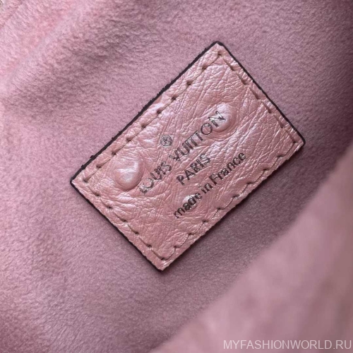 Сумка Louis Vuitton Loop PM