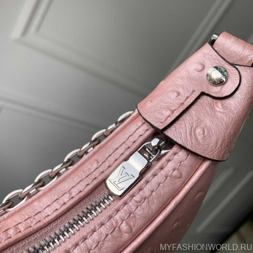 Сумка Louis Vuitton Loop PM