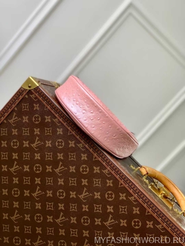 Сумка Louis Vuitton Loop PM