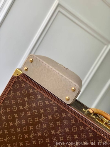 Сумка Louis Vuitton My Capucines