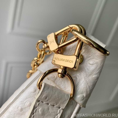 Сумка Louis Vuitton Loop PM