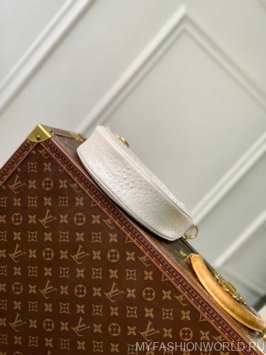 Сумка Louis Vuitton Loop PM