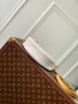 Сумка Louis Vuitton Loop PM