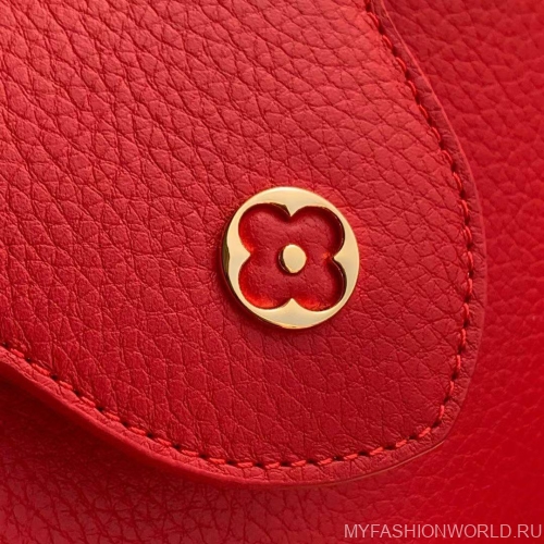 Сумка Louis Vuitton My Capucines