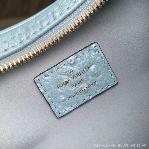 Сумка Louis Vuitton Loop PM