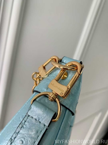Сумка Louis Vuitton Loop PM