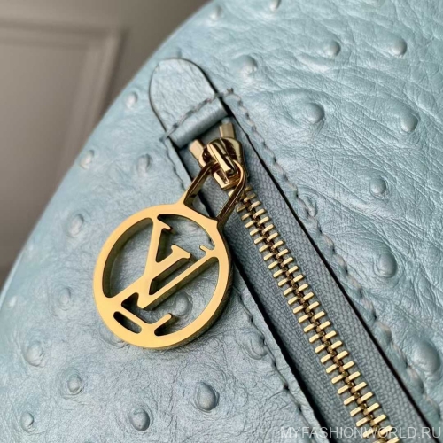 Сумка Louis Vuitton Loop PM