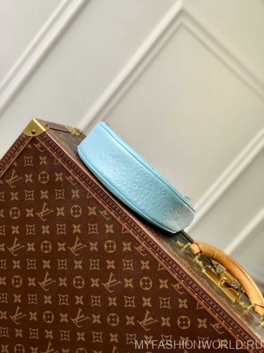 Сумка Louis Vuitton Loop PM