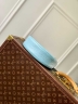 Сумка Louis Vuitton Loop PM