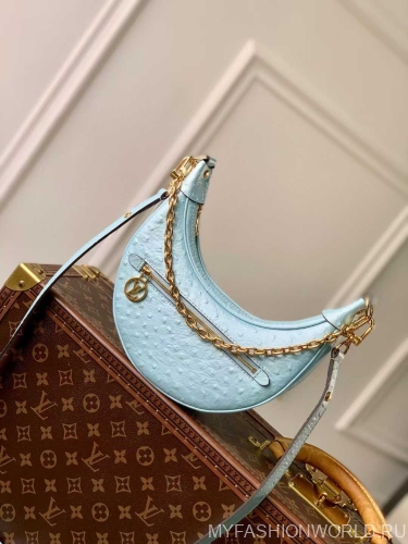 Сумка Louis Vuitton Loop PM