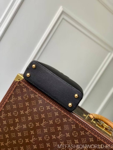 Сумка Louis Vuitton My Capucines