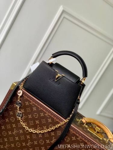 Сумка Louis Vuitton My Capucines
