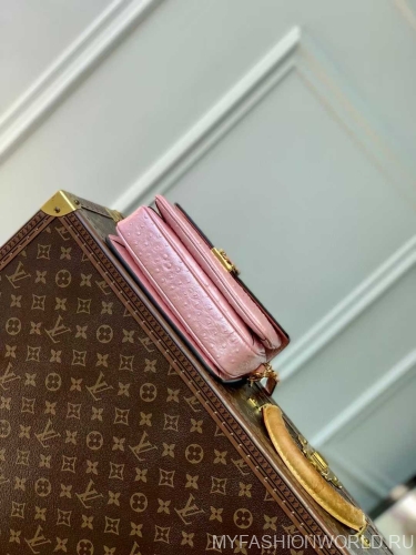 Сумка Louis Vuitton Pochette Métis East West