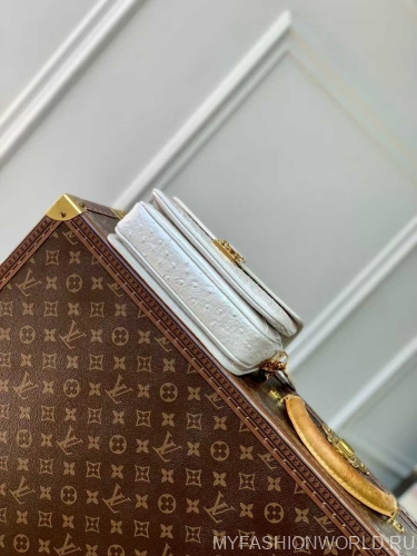 Сумка Louis Vuitton Pochette Métis East West