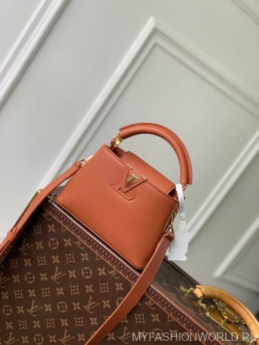 Сумка Louis Vuitton Capucines mini