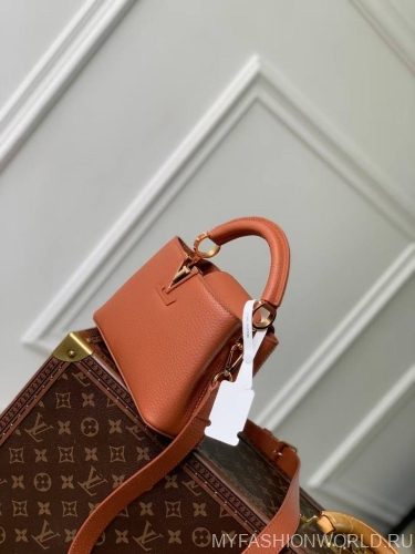 Сумка Louis Vuitton Capucines mini