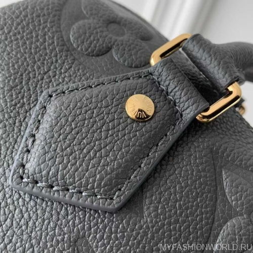 Сумка Louis Vuitton Speedy Bandoulière 20