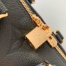 Сумка Louis Vuitton Speedy Bandoulière 20