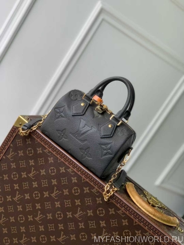 Сумка Louis Vuitton Speedy Bandoulière 20