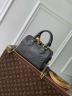 Сумка Louis Vuitton Speedy Bandoulière 20