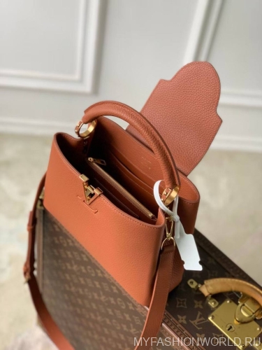 Сумка Louis Vuitton Capucines small